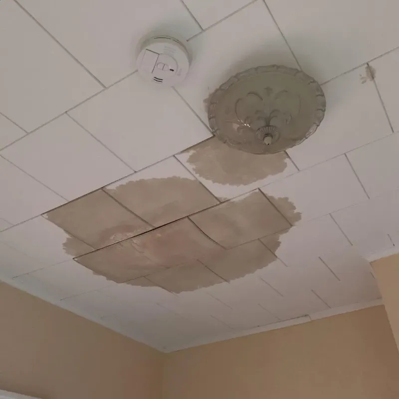 Ceiling Water Damage Repair in Wamego, KS