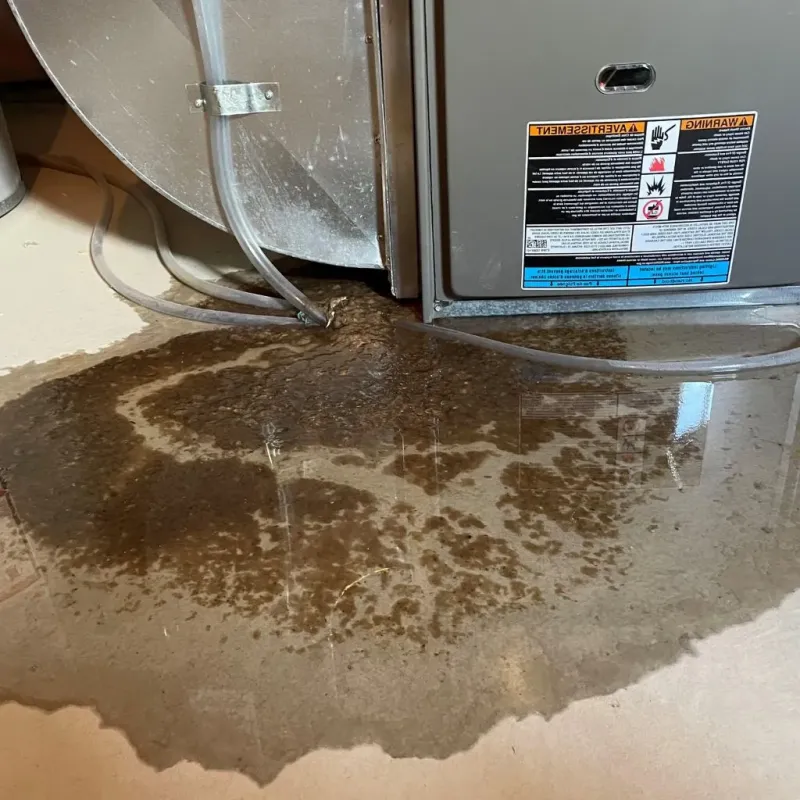 Pipe Burst and Leak Restoration in Wamego, KS