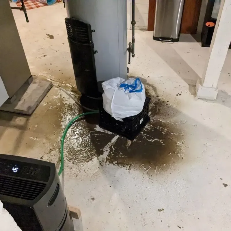 Sewage Backup Cleanup Service in Wamego, KS